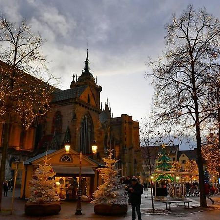 Centre Historique Colmar La Collegiale Resort Екстер'єр фото