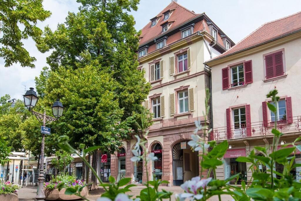 Centre Historique Colmar La Collegiale Resort Екстер'єр фото
